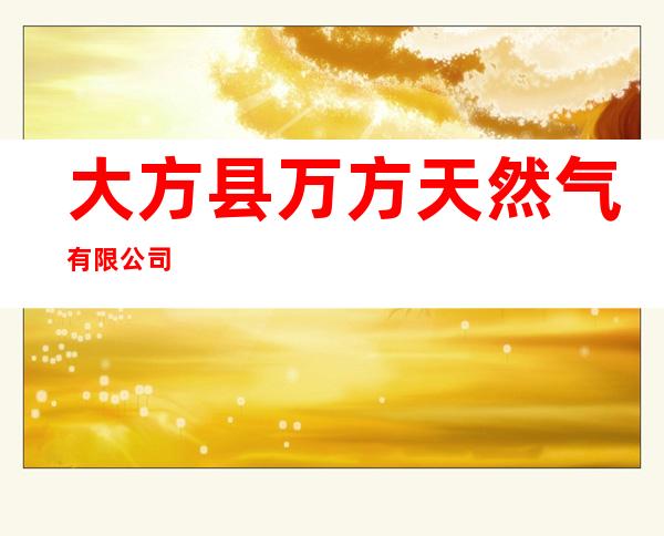 大方县万方天然气有限公司